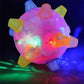 Jumping Activation Ball For Dogs And Cats