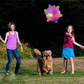 Jumping Activation Ball For Dogs And Cats