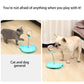 🐱Interactive Leaking Ball  Cat Feeding Toys