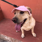 🎁HOT SALE-49% OFF🎁Dog Sun Hat Baseball Cap