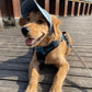 🎁HOT SALE-49% OFF🎁Dog Sun Hat Baseball Cap
