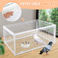 Auto Trap Humane Bird Cage