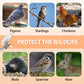 Auto Trap Humane Bird Cage