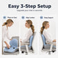 🪑 Save 55% now & Get free shipping on orders of 2! ✨ Ergonomic memory foam seat cushion with back support.