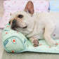 Cool Dog Mat 🐶Buy 2 Get extra 20% off!