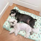 Cool Dog Mat 🐶Buy 2 Get extra 20% off!