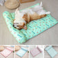 Cool Dog Mat 🐶Buy 2 Get extra 20% off!